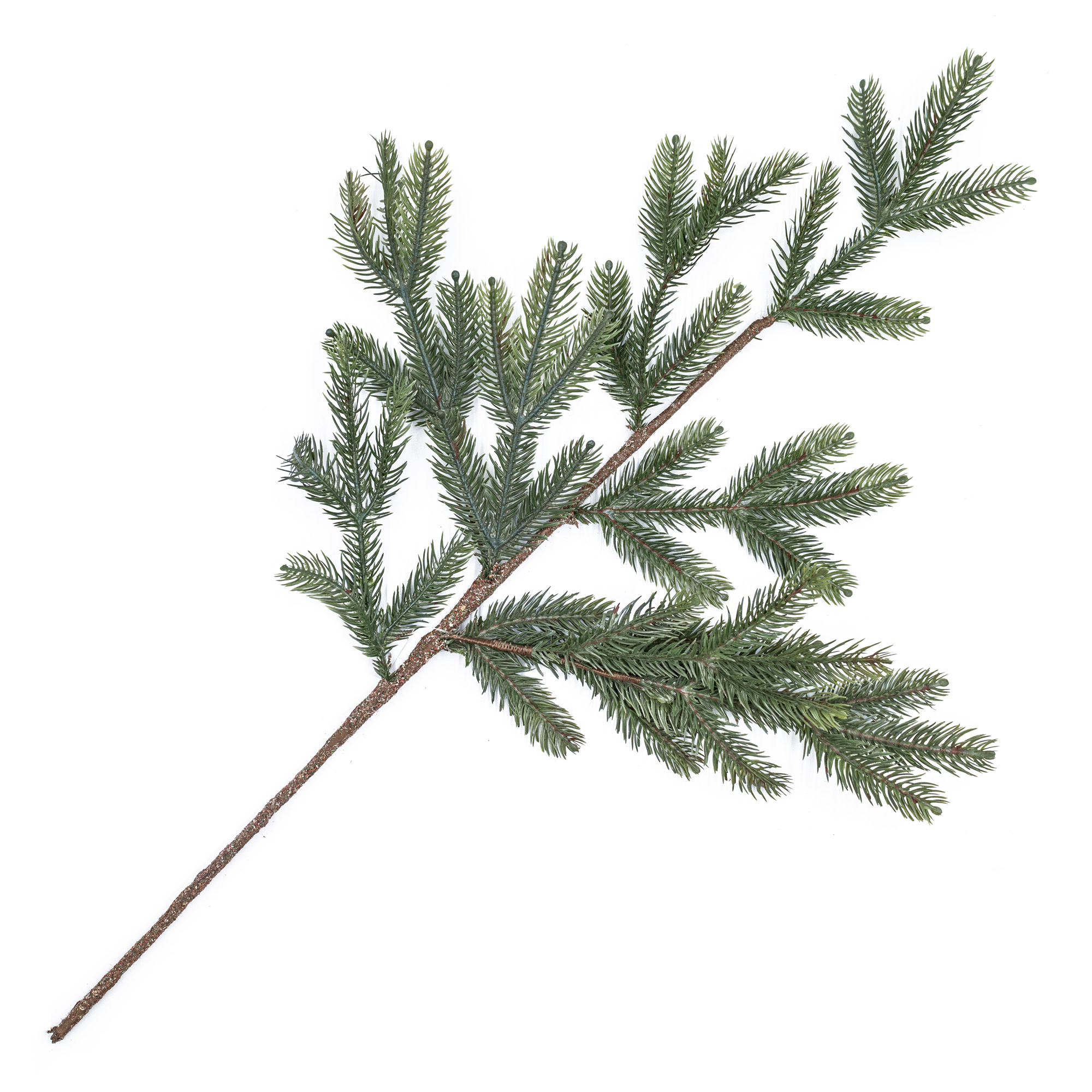 Christmas branch